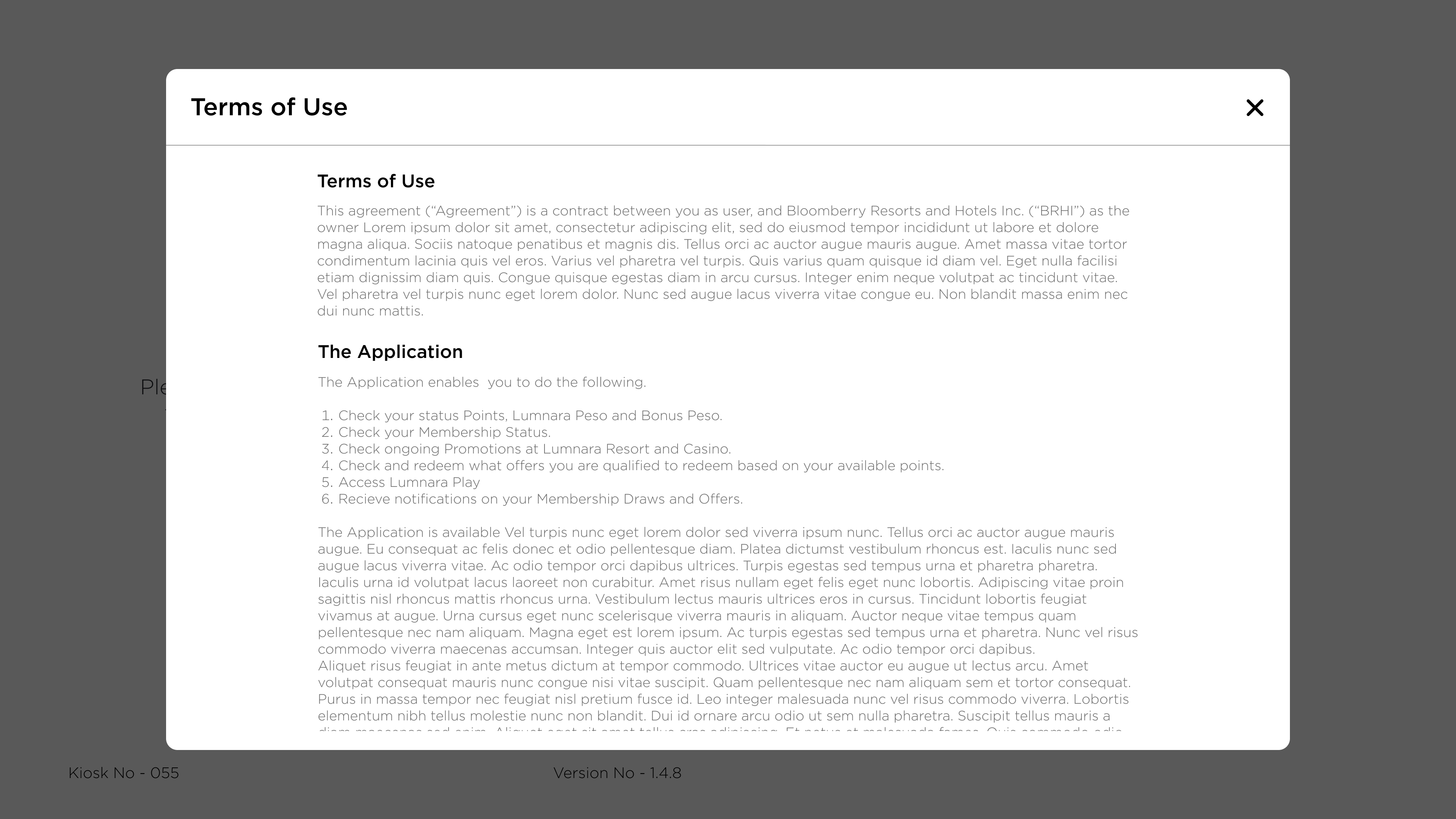 Kiosk Light Theme Terms of Use Screen